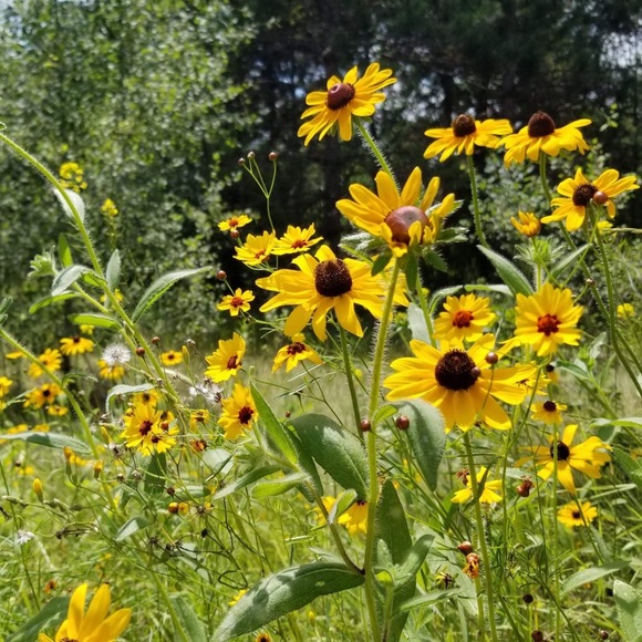 Meet your Posher, Kelli - Picture 1 of 1